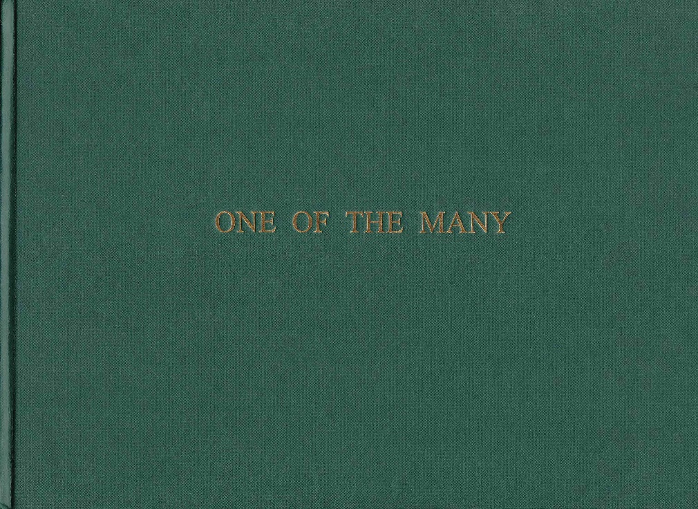 one of the many book cover