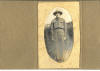 Burgess, Walter - Early.jpg (630289 bytes)