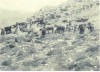 Doel - Mountain Warfare Training.jpg (319911 bytes)