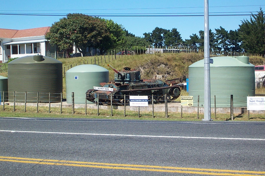 NZ___Valentine.JPG (236506 bytes)